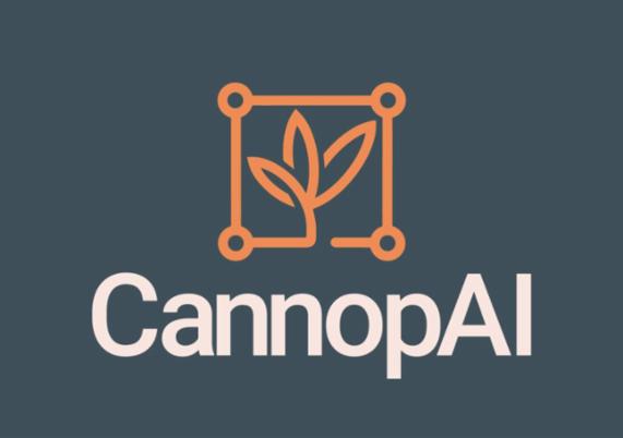 Angebot - Fotoansicht