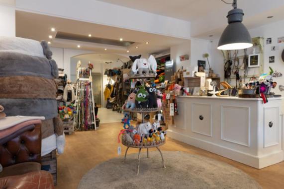 Angebot - Fotoansicht