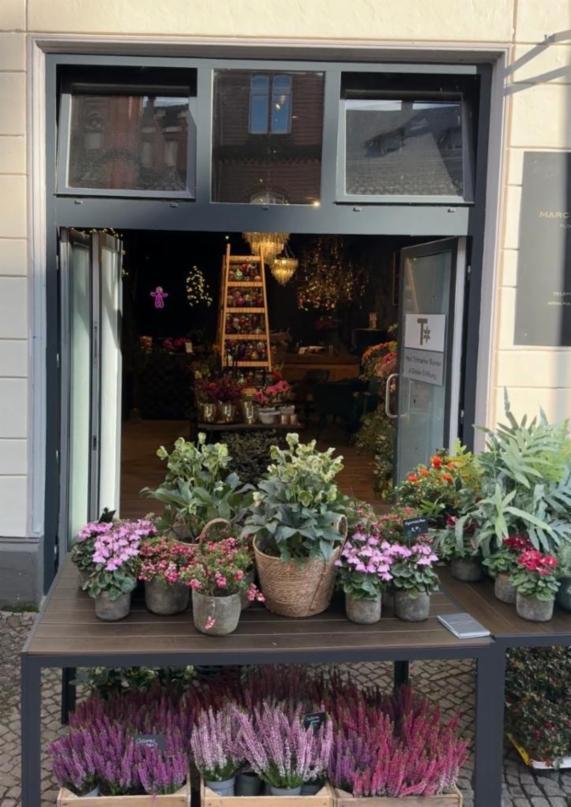 Angebot - Fotoansicht