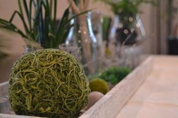 Angebot - Fotoansicht