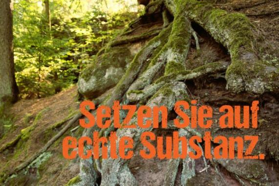 Angebot - Fotoansicht