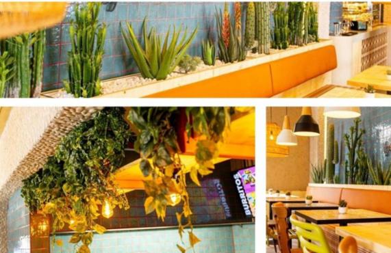 Angebot - Fotoansicht