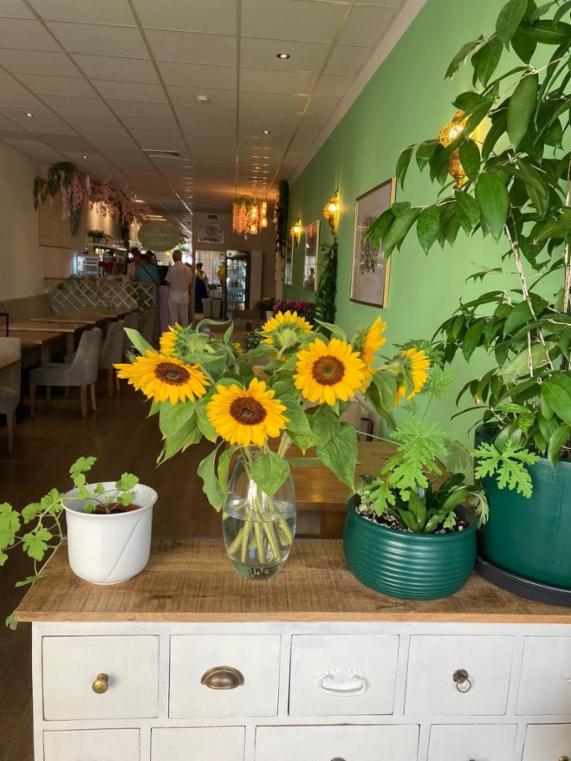 Angebot - Fotoansicht