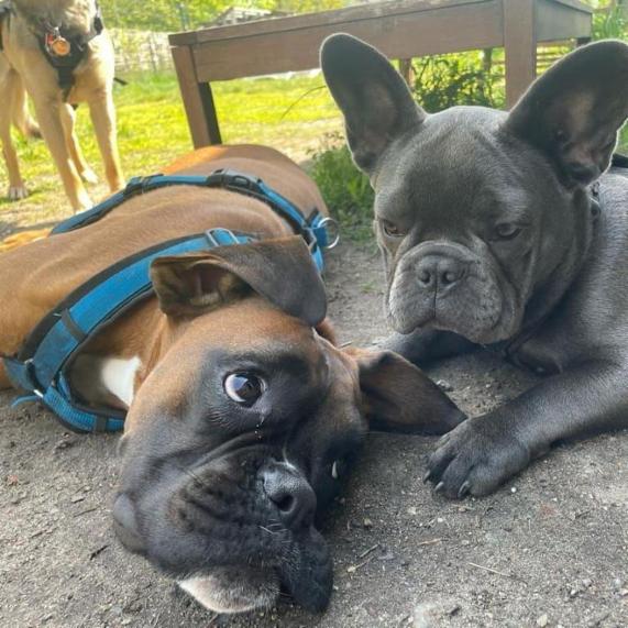 Angebot - Fotoansicht