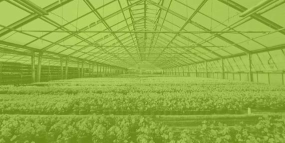 Angebot - Fotoansicht