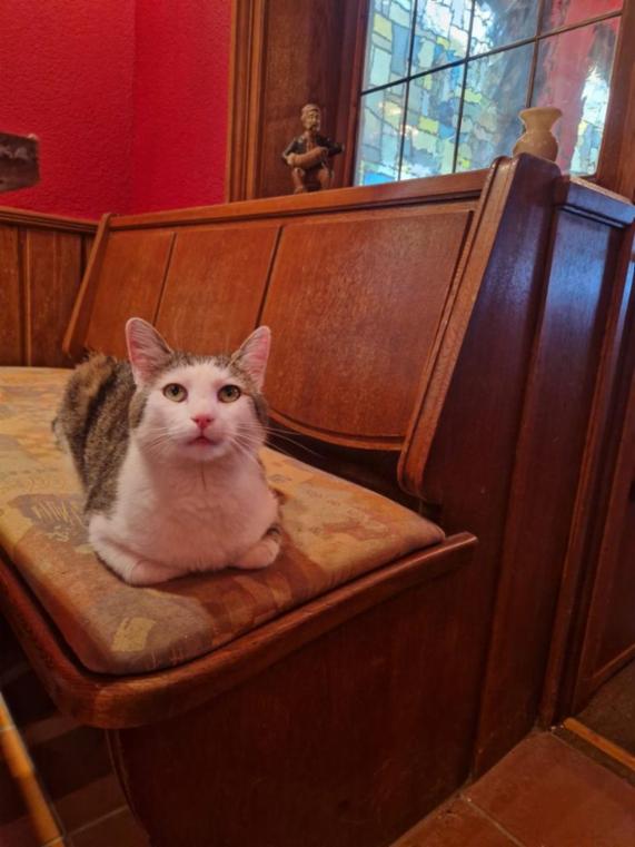 Angebot - Fotoansicht