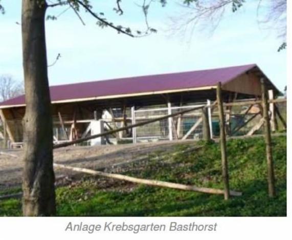 Angebot - Fotoansicht