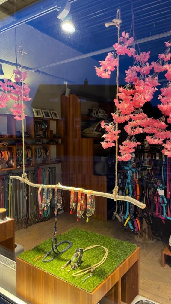 Angebot - Fotoansicht